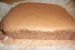 Tort Carol-7