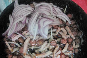 Pizza casei