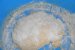 Gogosi pufoase-1