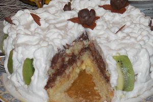 Tort "37"