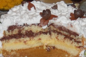 Tort "37"