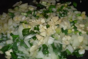 Lasagna " Primavera"
