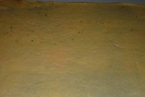 Lasagna " Primavera"