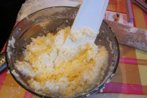 Cuib de viespe cu nuca de cocos!
