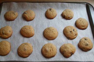 Biscuiti cangur
