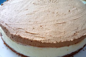 Tort Mousse