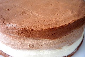 Tort Mousse