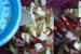 Salata de fructe ( de post )-2