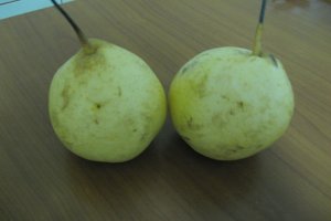 Pere cu crema de vanilie si ciocolata