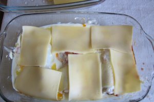 Cannelloni cu carne de vita si porc