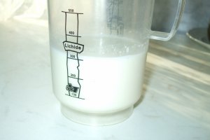 Sarlota de vanilie cu fructe de padure