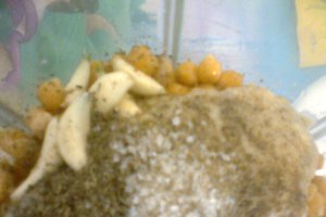 Humus reteta