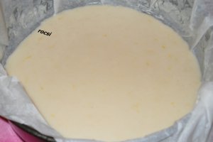 Prajitura duo cu gem de prune