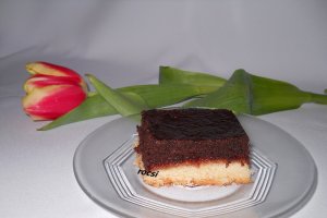 Prajitura duo cu gem de prune