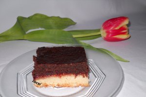 Prajitura duo cu gem de prune