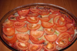Plachie de novac