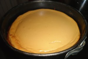 Chesecake american cu fructe de padure