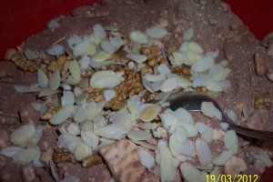 Salam de biscuiti reteta cu stafide, nuci si migdale