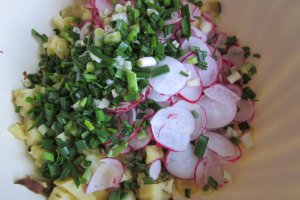 Salata "Primavara"