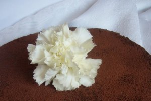 Tort Amandina sau nu ?