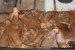 Ciuperci pleurotus marinate la cuptor-1