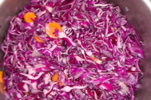 Varză roșie cu legume  & Mămăligă