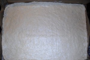 Prăjitură cu mere, gem de gutui şi nuci - de post