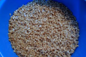 Hrișcă cu legume (Grechka s ovoshchami)