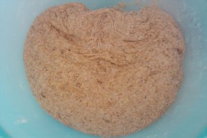 Paine intermediara
