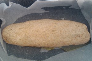 Paine intermediara