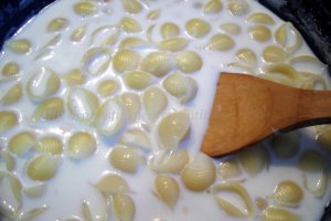 Paste Conchiglie cu lapte