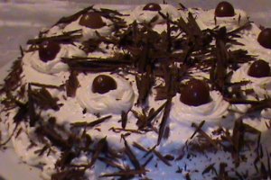 Tort de visine