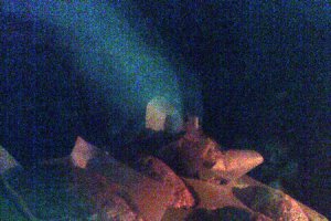 Muffins cu banane