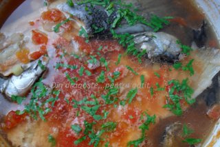Ciorbă de pește - somon și macrou