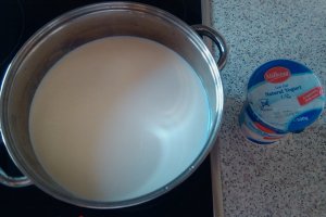 Branza dulce made home