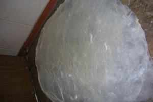 Placinte moldovenesti  "Poale´n brau"