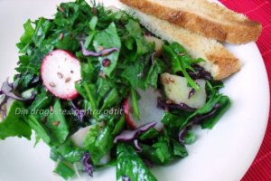 Salată de primăvară -  spanac, ridichi, ceapă verde, mărăr