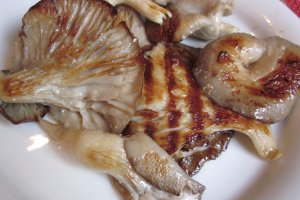 Pleutorus la gratar