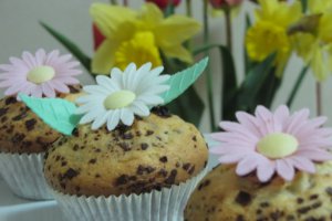 Briose vesele de la Dr. Oetker