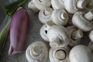 Tocanita de ciuperci cu piept de pui