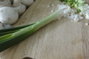 Tocanita de ciuperci cu piept de pui