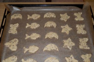 Biscuiti vanilati cu fulgi de ciocolata