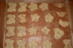 Biscuiti vanilati cu fulgi de ciocolata