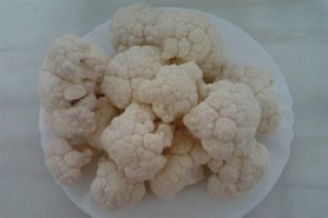 Conopida pane