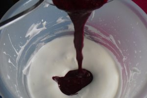Spuma de fructe de padure cu Miez de Lapte