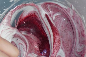 Spuma de fructe de padure cu Miez de Lapte