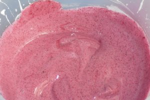 Spuma de fructe de padure cu Miez de Lapte