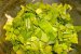 Salata de leurda cu salata verde-2