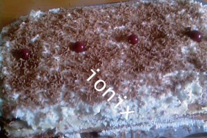tort cu crema de vanilie si crema de visine