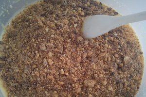 Budinca de biscuiti cu spuma de mango